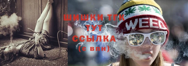 тгк Горнозаводск