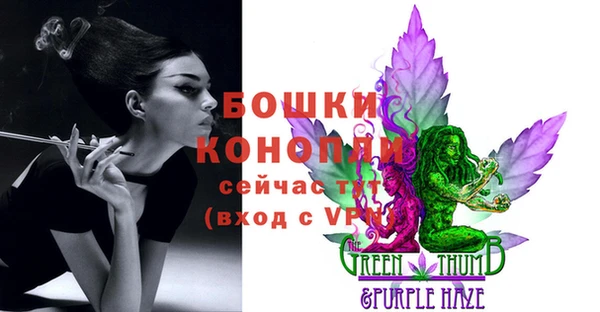 тгк Горнозаводск
