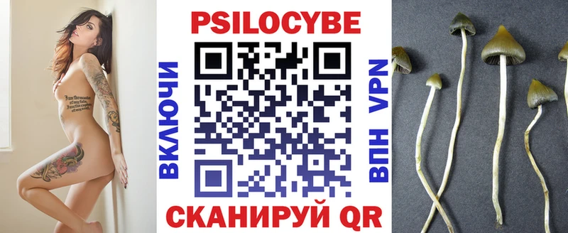 Купить  Тогучин  Галлюциногенные грибы Psilocybe 